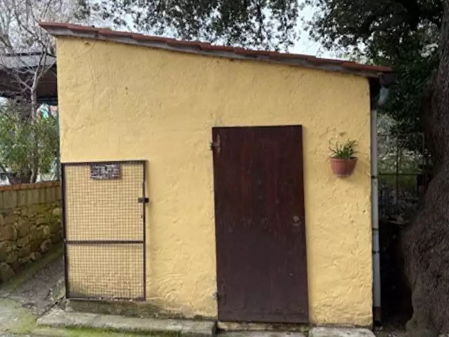 Immagine 32 di Terratetto in vendita  a Chianni