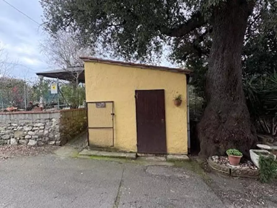 Immagine 33 di Terratetto in vendita  a Chianni