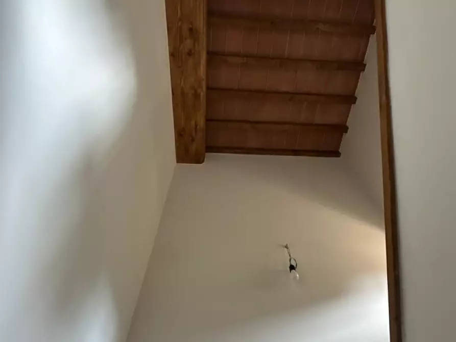 Immagine 17 di Appartamento in vendita  a Sovicille