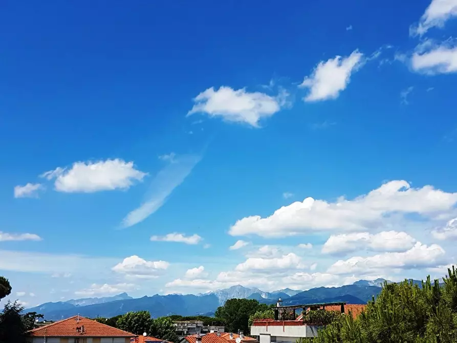 Immagine 11 di Casa bifamiliare in vendita  a Viareggio