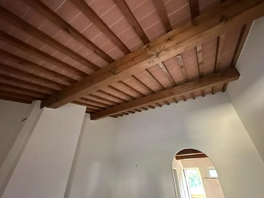 Immagine 9 di Appartamento in vendita  a Sovicille