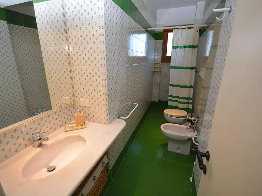 Immagine 21 di Casa bifamiliare in affitto  a Montignoso