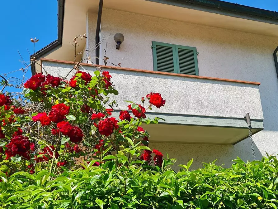 Immagine 5 di Casa bifamiliare in affitto  a Montignoso