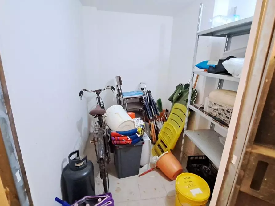 Immagine 16 di Appartamento in vendita  a Rosignano Marittimo