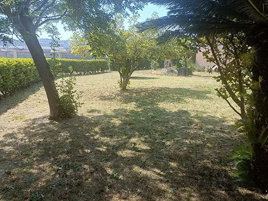 Immagine 3 di Casa semindipendente in vendita  a Carrara