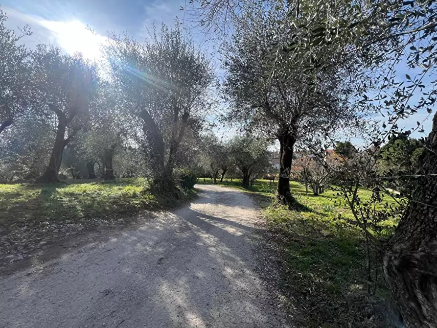 Immagine 36 di Casa bifamiliare in vendita  a Camaiore