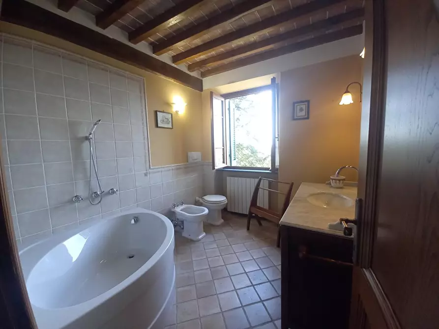 Immagine 19 di Casa bifamiliare in vendita  a Camaiore