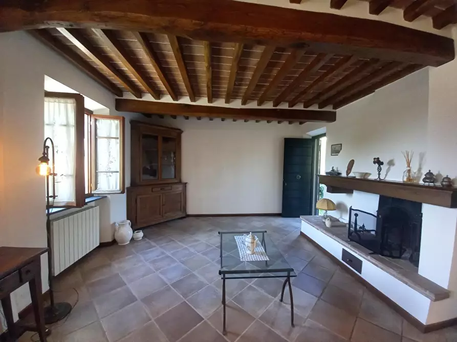 Immagine 4 di Casa bifamiliare in vendita  a Camaiore