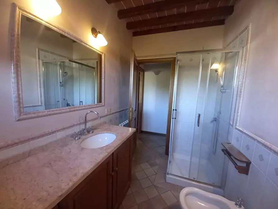 Immagine 16 di Casa bifamiliare in vendita  a Camaiore