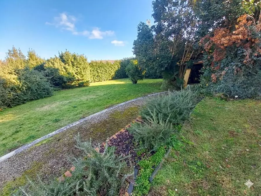 Immagine 67 di Casa bifamiliare in vendita  a Camaiore