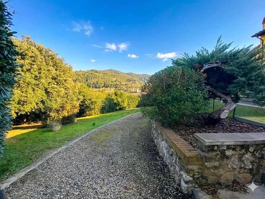 Immagine 3 di Casa bifamiliare in vendita  a Camaiore