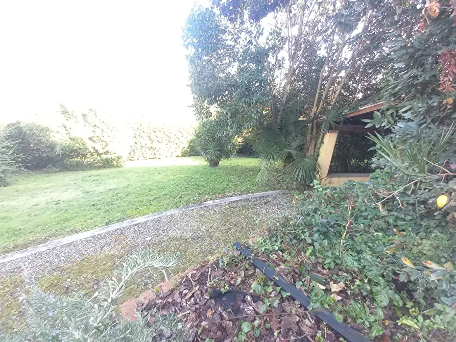 Immagine 16 di Casa bifamiliare in vendita  a Camaiore