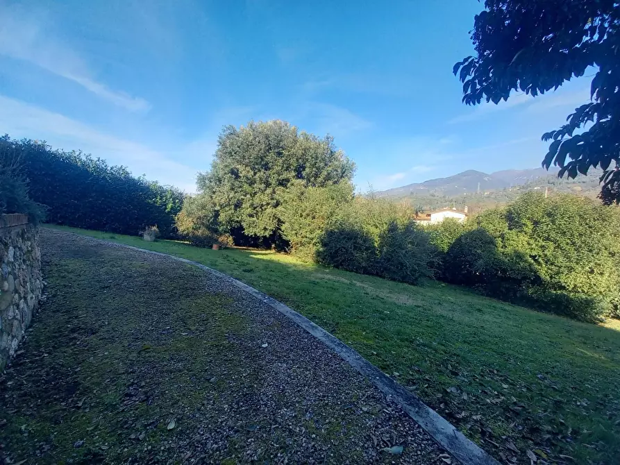 Immagine 30 di Casa bifamiliare in vendita  a Camaiore