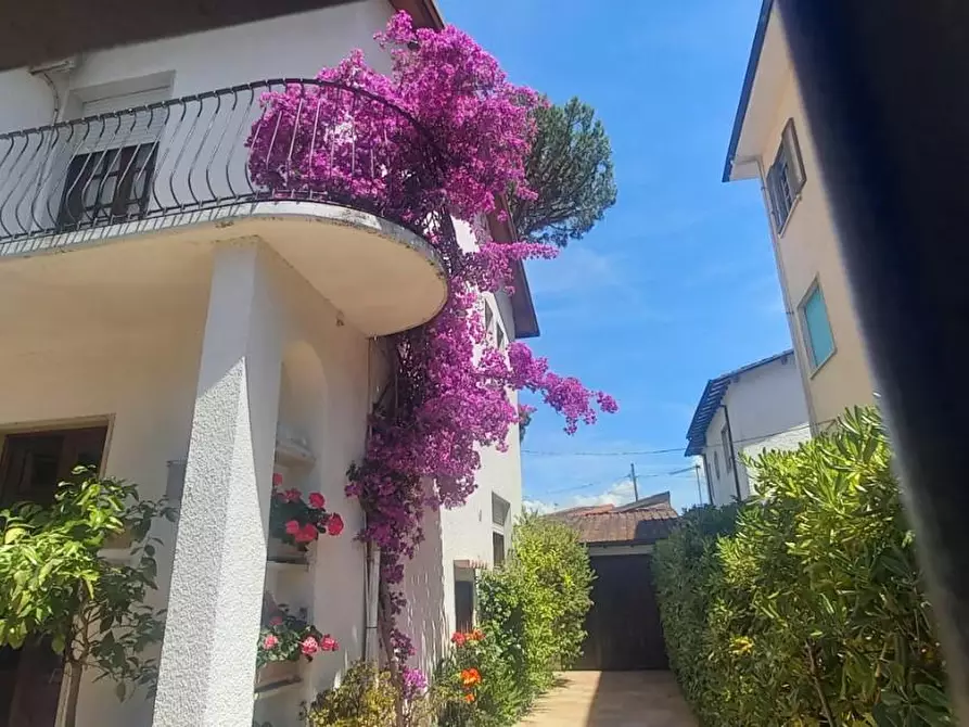 Immagine 3 di Casa indipendente in vendita  a Camaiore