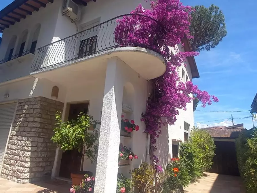 Immagine 6 di Casa indipendente in vendita  a Camaiore
