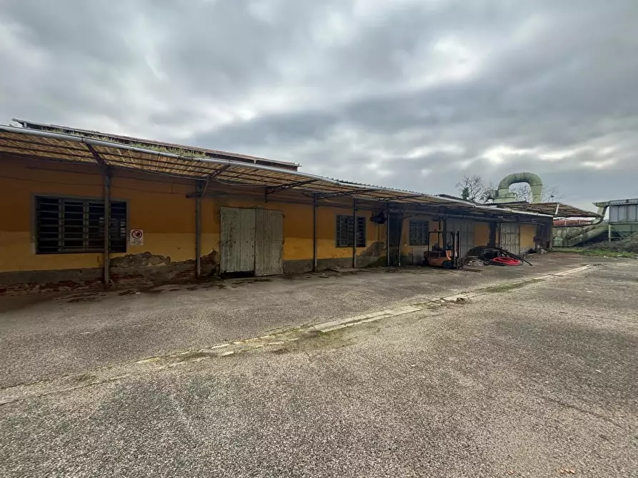 Immagine 5 di Attività artigianale in vendita  a San Miniato