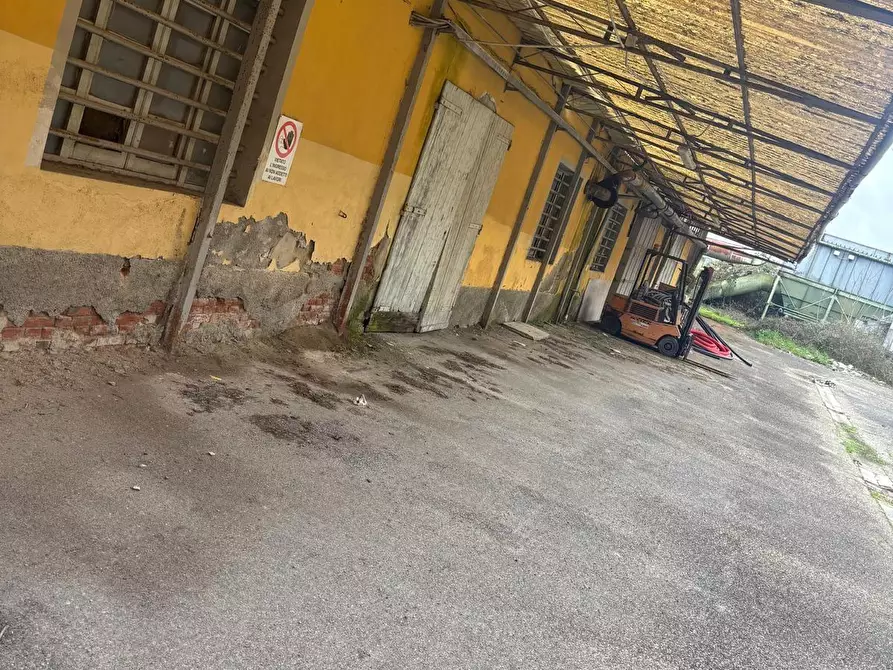 Immagine 6 di Attività artigianale in vendita  a San Miniato