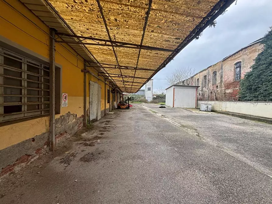 Immagine 4 di Attività artigianale in vendita  a San Miniato