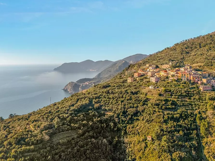 Immagine 25 di Terratetto in vendita  a Riomaggiore
