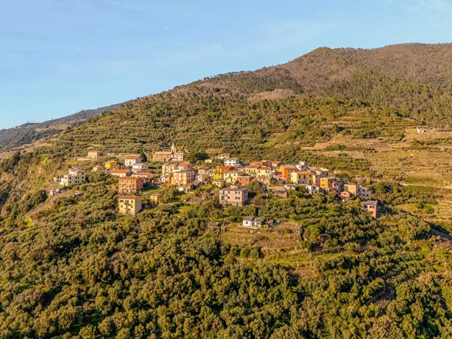Immagine 26 di Terratetto in vendita  a Riomaggiore