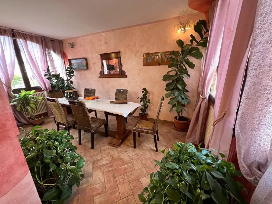 Immagine 11 di Villetta a schiera in vendita  a Cecina