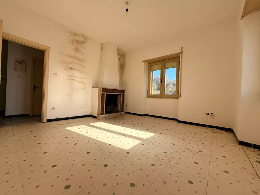 Immagine 15 di Terratetto in vendita  a Luogosanto