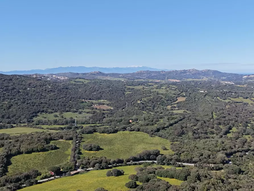 Immagine 7 di Terratetto in vendita  a Luogosanto