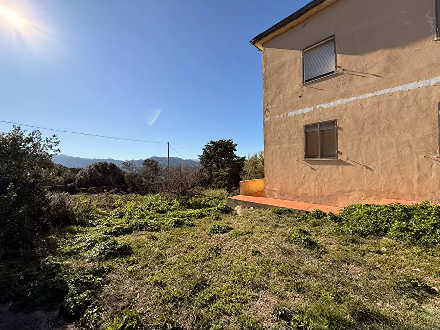 Immagine 10 di Terratetto in vendita  a Luogosanto