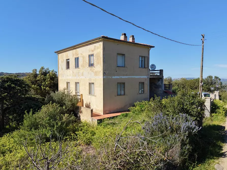 Immagine 29 di Terratetto in vendita  a Luogosanto