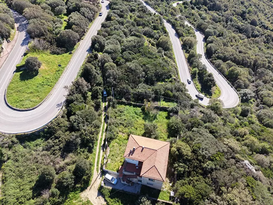 Immagine 6 di Terratetto in vendita  a Luogosanto