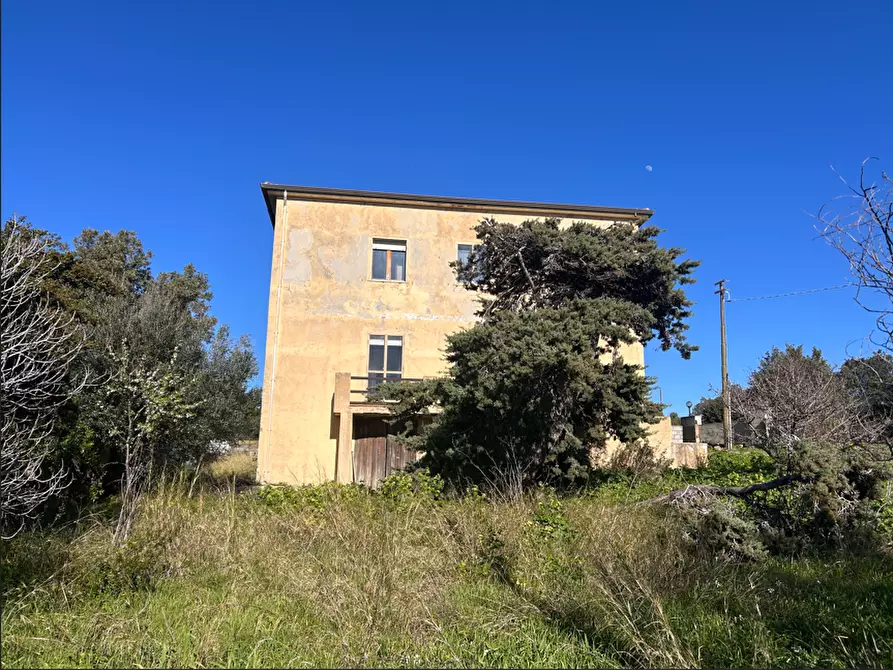Immagine 26 di Terratetto in vendita  a Luogosanto