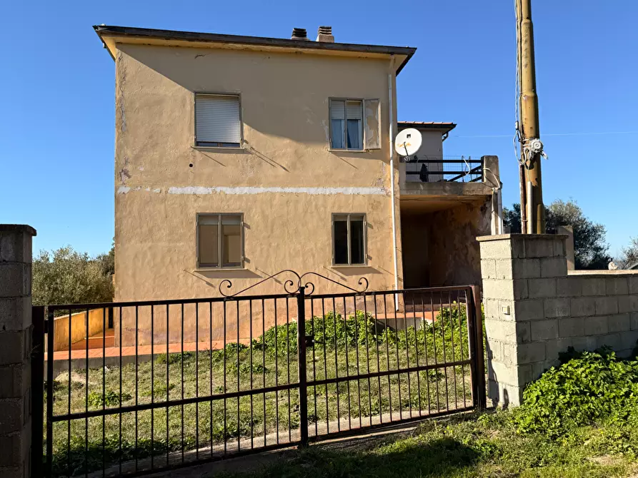 Immagine 2 di Terratetto in vendita  a Luogosanto