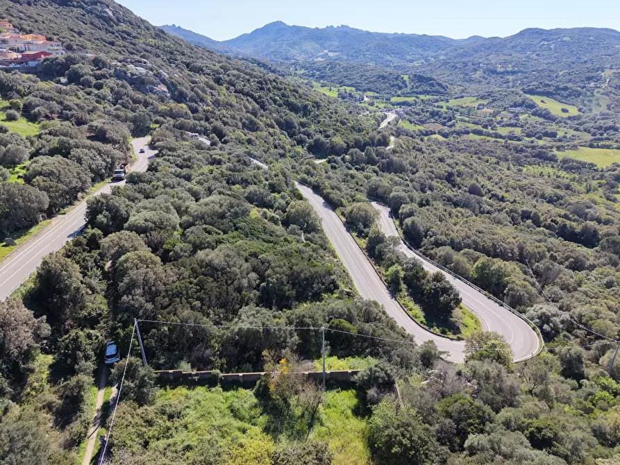 Immagine 8 di Terratetto in vendita  a Luogosanto