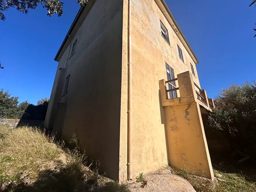 Immagine 27 di Terratetto in vendita  a Luogosanto