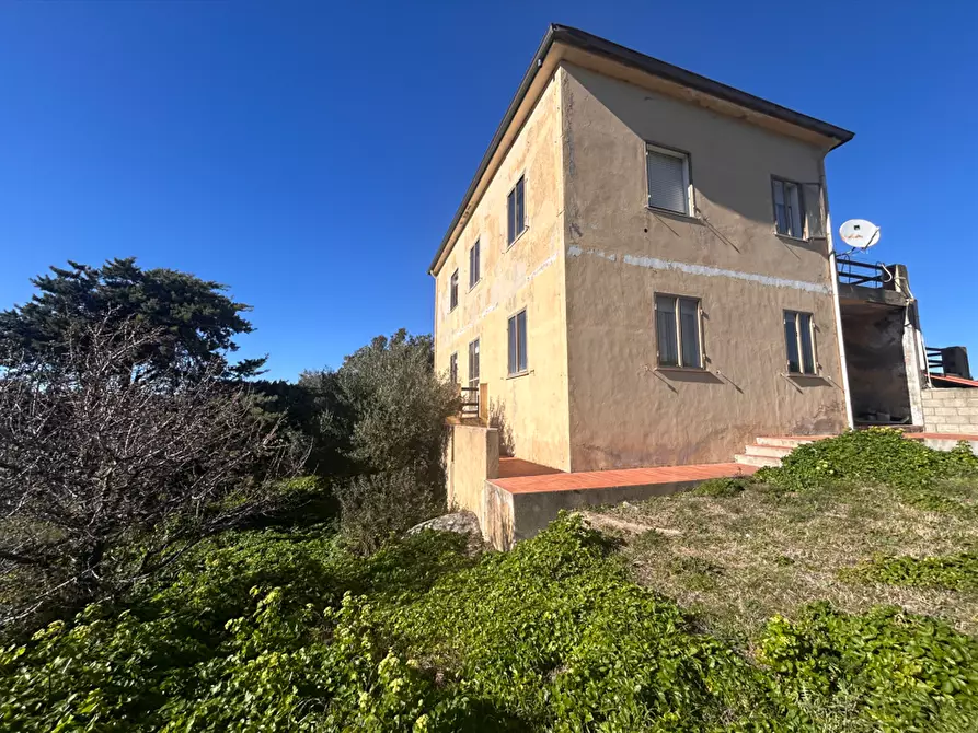 Immagine 28 di Terratetto in vendita  a Luogosanto