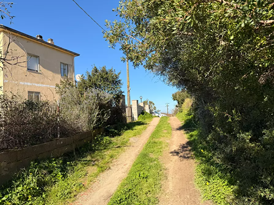 Immagine 9 di Terratetto in vendita  a Luogosanto