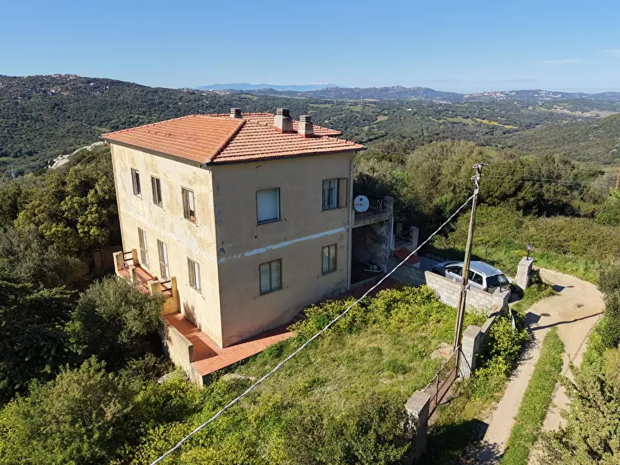 Immagine 3 di Terratetto in vendita  a Luogosanto