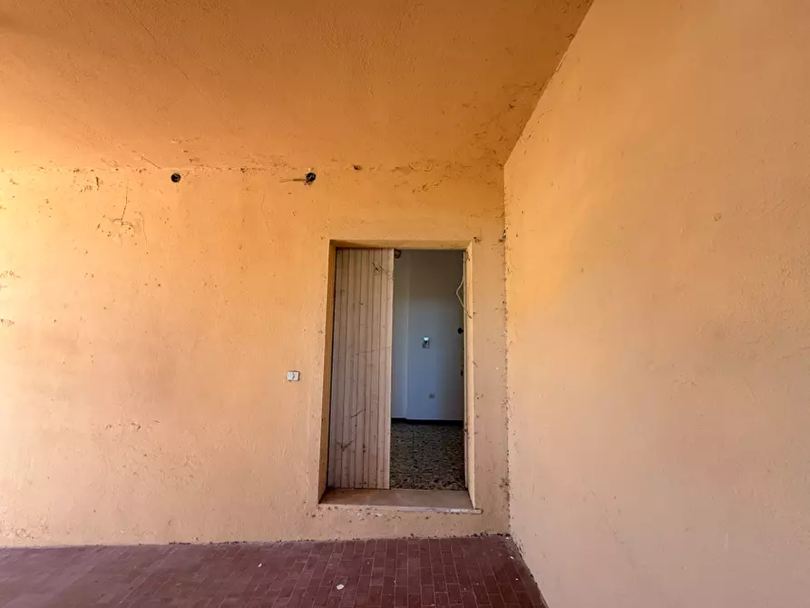 Immagine 12 di Terratetto in vendita  a Luogosanto