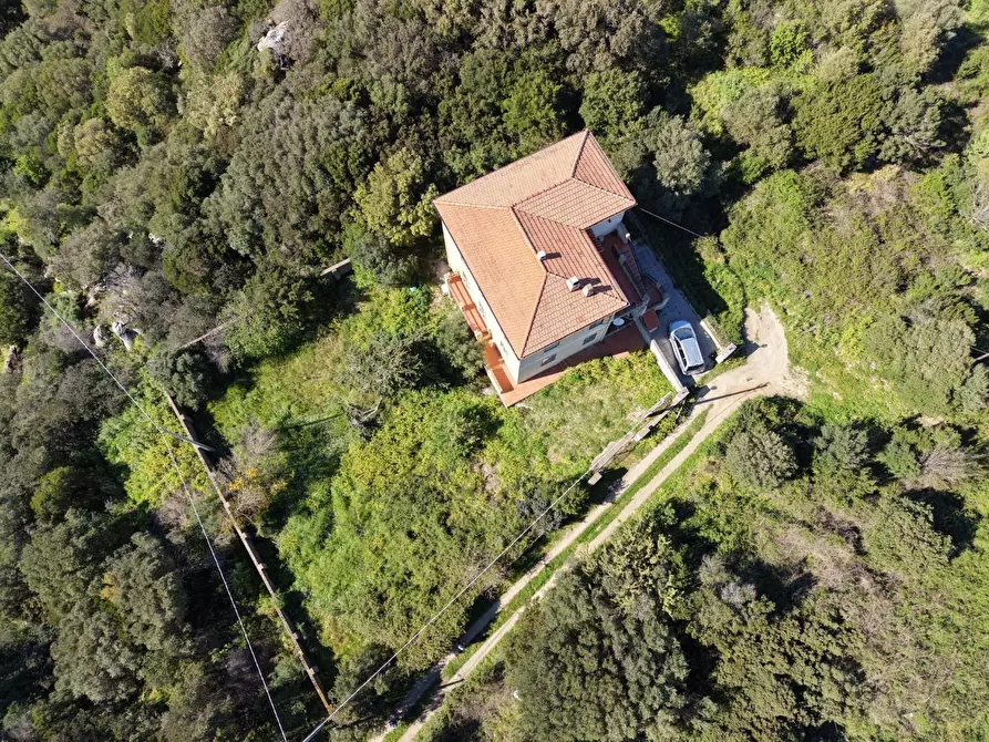 Immagine 5 di Terratetto in vendita  a Luogosanto