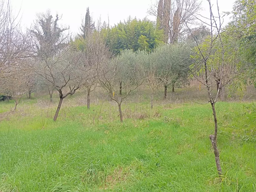 Immagine 44 di Porzione di casa in vendita  a Poggibonsi