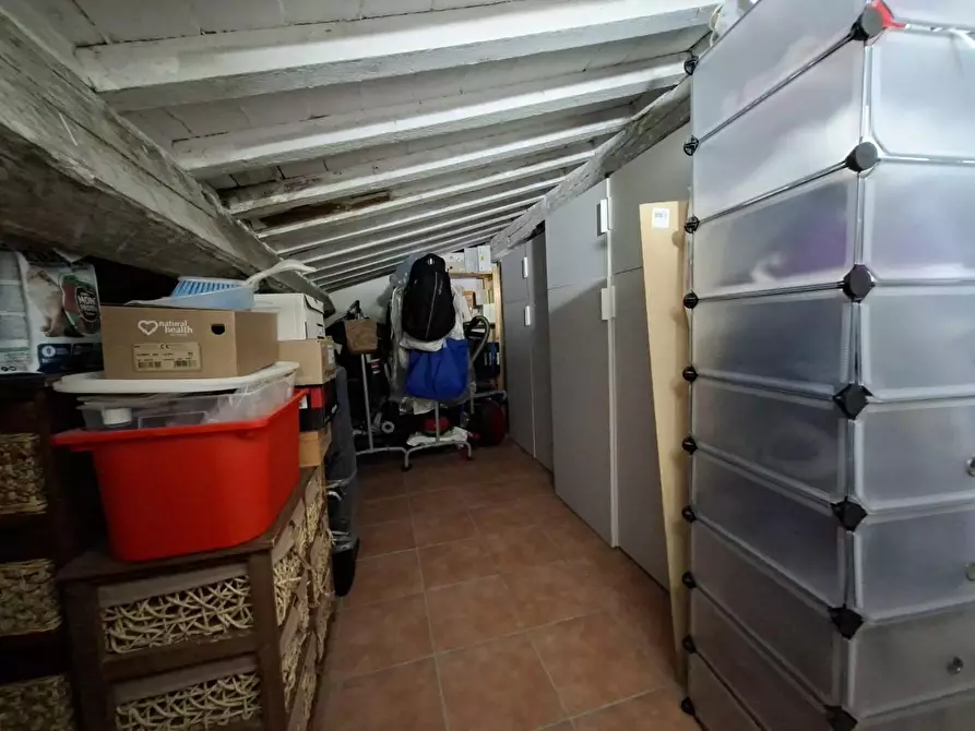 Immagine 24 di Appartamento in vendita  a Collesalvetti