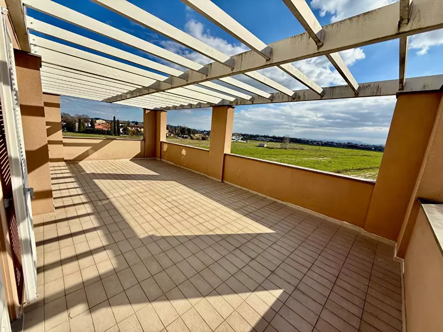 Immagine 5 di Appartamento in vendita  a Pontedera