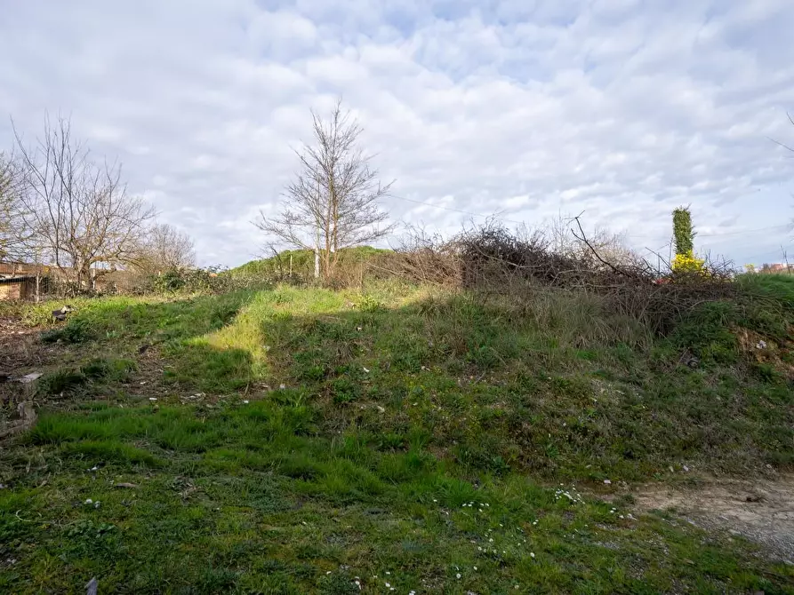 Immagine 7 di Terreno residenziale in vendita  a Cerreto Guidi