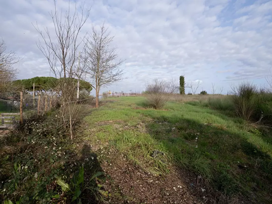 Immagine 8 di Terreno residenziale in vendita  a Cerreto Guidi