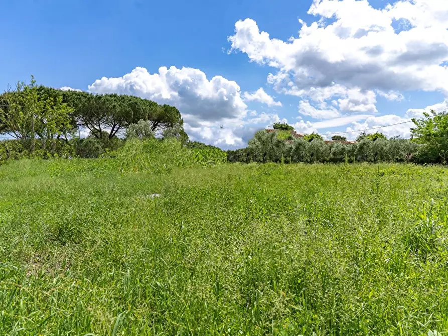 Immagine 13 di Terreno residenziale in vendita  a Cerreto Guidi
