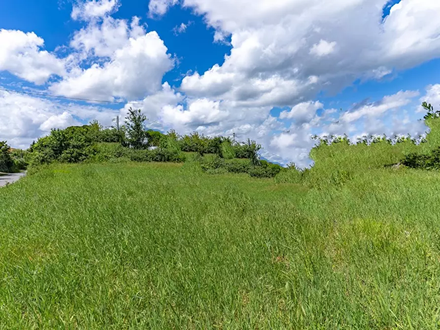 Immagine 10 di Terreno residenziale in vendita  a Cerreto Guidi