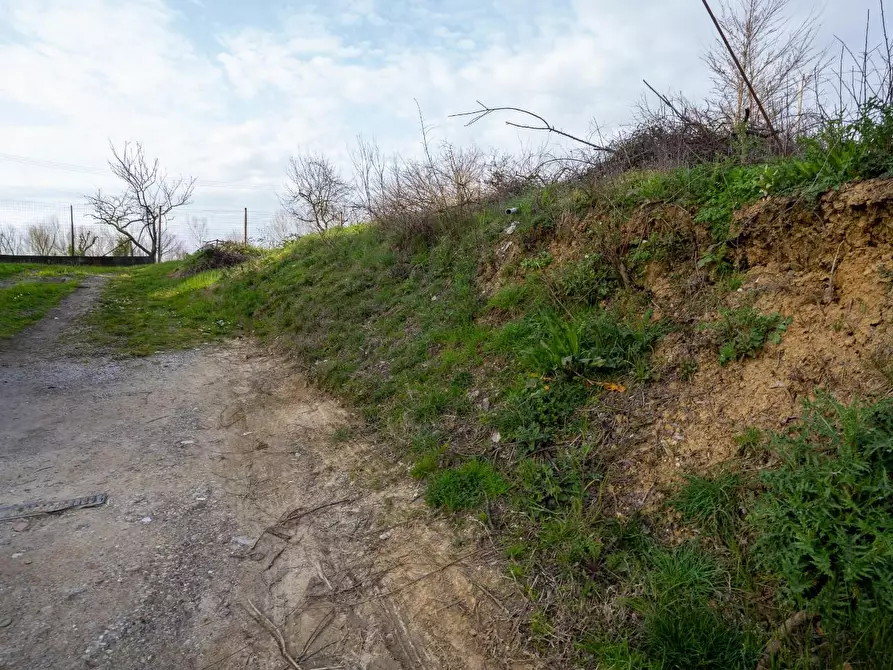 Immagine 9 di Terreno residenziale in vendita  a Cerreto Guidi