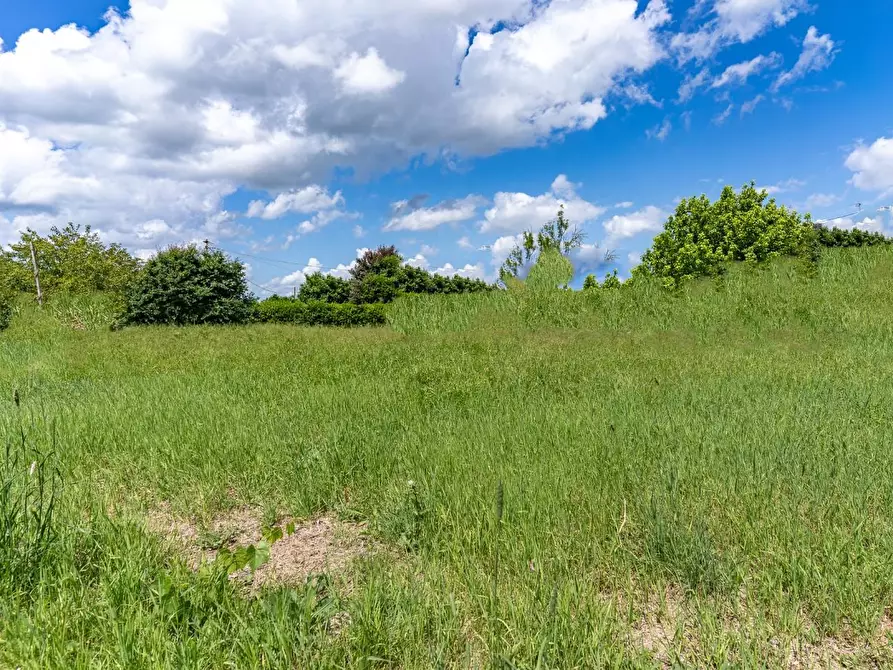 Immagine 11 di Terreno residenziale in vendita  a Cerreto Guidi