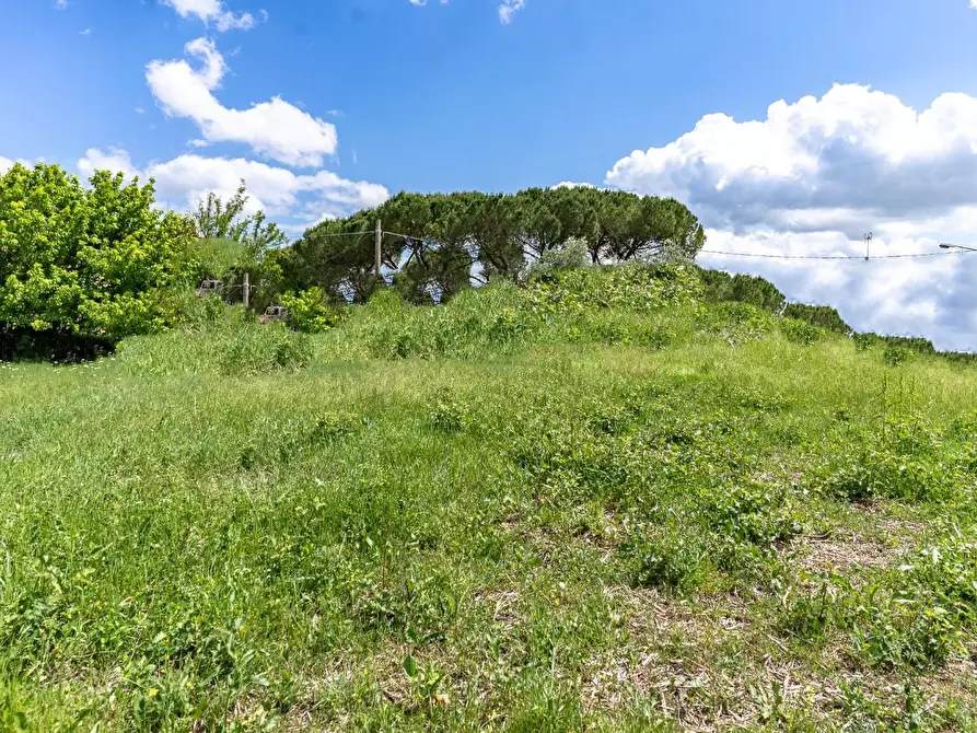 Immagine 12 di Terreno residenziale in vendita  a Cerreto Guidi