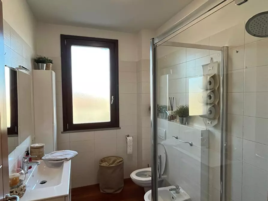 Immagine 13 di Appartamento in vendita  a Fauglia